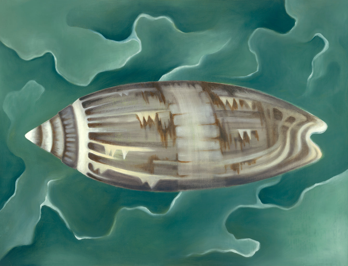 Olive Shell