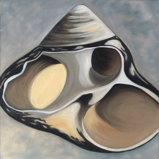 Broken Top Shell