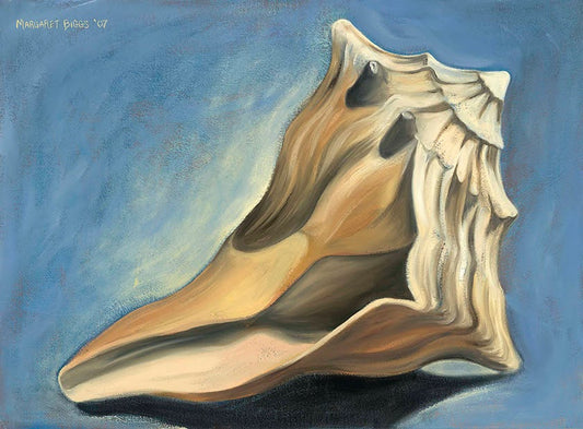 Knobbed Whelk with Shadow