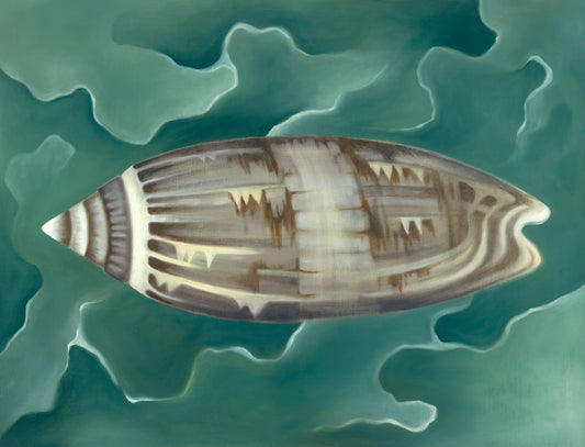 Olive Shell