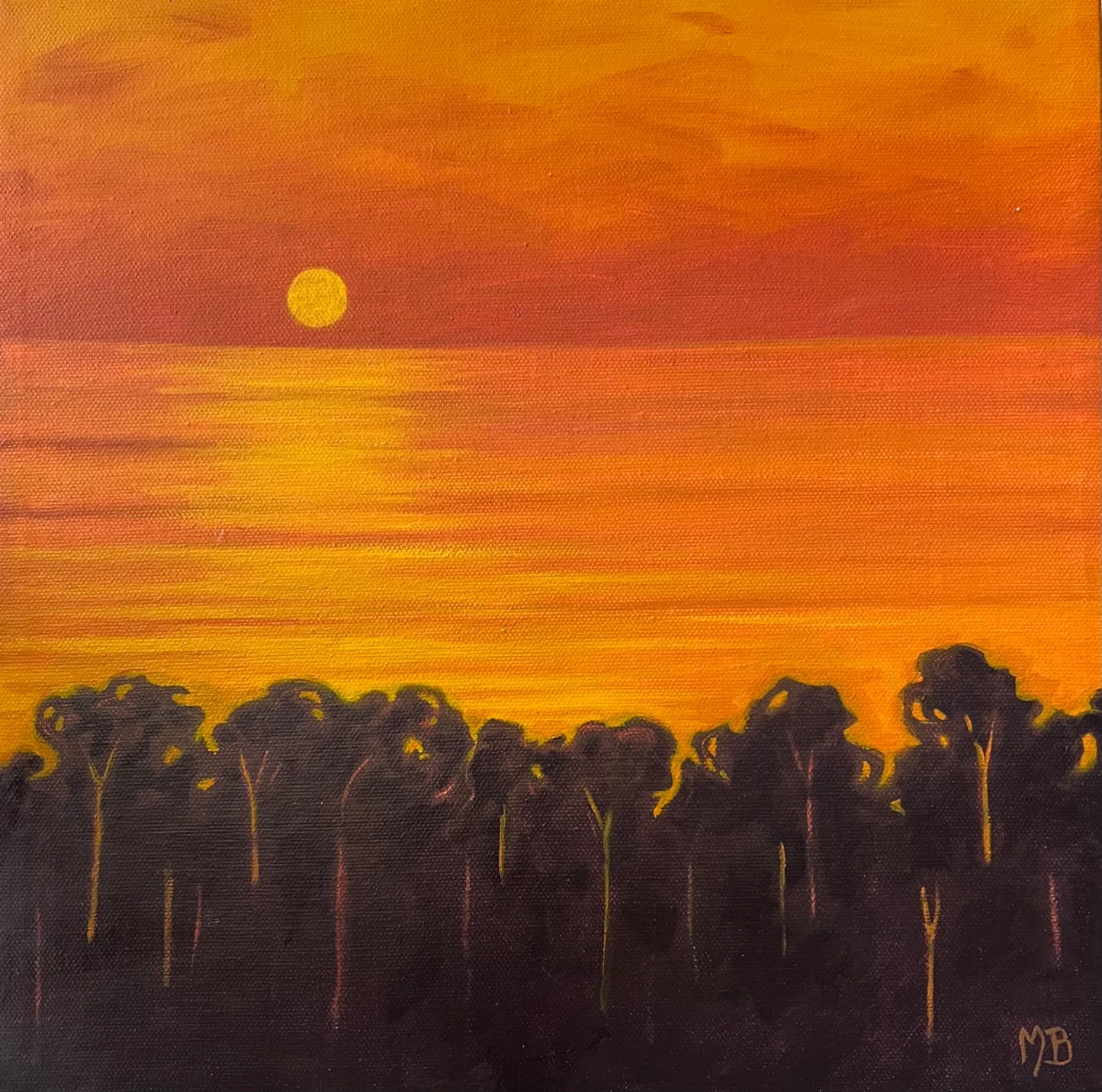 Sunset Through the Pines